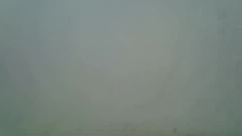 Snapshot of sexyliah chatting on September 2025 10:53:02 AM sexy liah online show from September 2025 10:53:02 AM