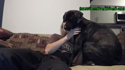 Sexymountainman420 online show from December 2024 07:06:02 AM