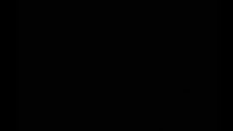 In the night in South America online show from February 2025 06:14:02 AM