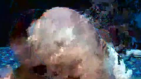 Natalie sweet online show from April 2026 01:52:02 PM