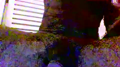 sexynudistdaddycockm online show from November 2025 05:51:02 AM