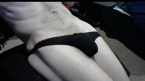 shadow_puppet online show from March 2025 11:09:02 PM