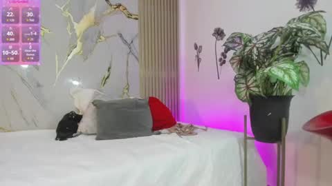 Snapshot of shalomexotic chatting on July 2026 12:18:02 PM shalomexotic online show from July 2026 12:18:02 PM