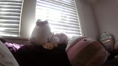 Snapshot of shampooprincess001 chatting on March 2026 08:12:02 PM shampooprincess001 online show from March 2026 08:12:02 PM