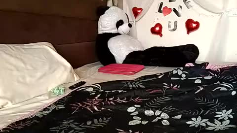 Shanaya Kappor online show from February 2026 10:36:02 AM