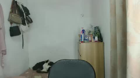 bini aiah online show from December 2025 02:31:02 AM