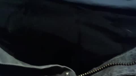 Shane online show from March 2026 03:54:01 AM