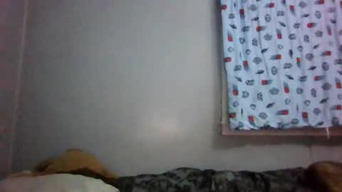 Snapshot of shanelle9270 chatting on February 2025 07:56:02 AM shanelle9270 online show from February 2025 07:56:02 AM