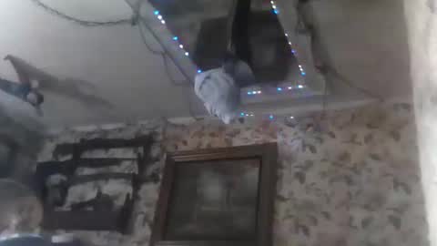 Snapshot of shanelle9270 chatting on September 2025 01:49:01 AM shanelle9270 online show from September 2025 01:49:01 AM