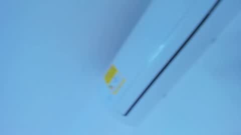 Shantal online show from December 2025 11:07:01 AM