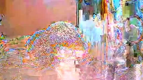 ShanyaRise online show from May 2026 11:39:02 AM