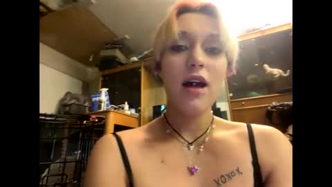 Snapshot of shelbybaby01 chatting on December 2024 01:49:02 PM Shelby holes online show from December 2024 01:49:02 PM