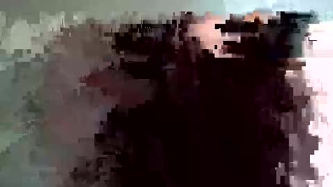 shelfeesh online show from November 2025 09:36:01 AM