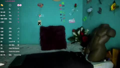 Shera Hade online show from April 2026 09:51:02 PM