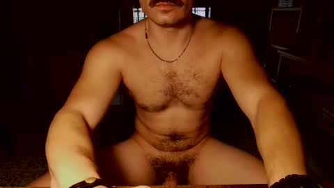 shinikari online show from September 2025 01:00:01 PM