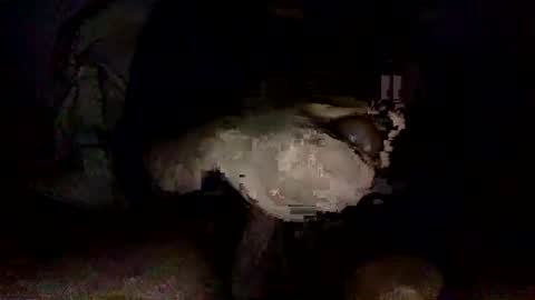 shoot3s__ online show from December 2024 02:12:02 AM