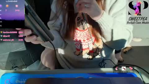 short sweetpea online show from March 2026 02:42:02 PM