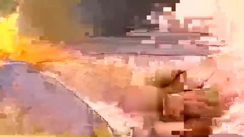 showsme online show from February 2026 07:59:01 AM