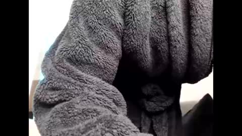 Sheril  online show from March 2026 06:48:02 PM