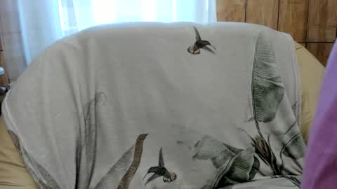 shy_in_bed online show from October 2025 03:02:02 PM