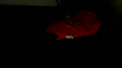 shyandlong69699 online show from September 2025 02:23:01 AM