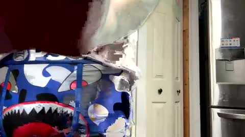 shyandlong69699 online show from September 2025 03:32:02 AM