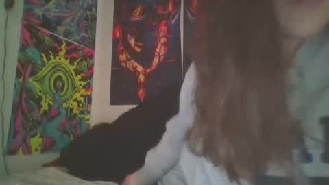 RBXs Princess online show from December 2024 03:47:02 AM