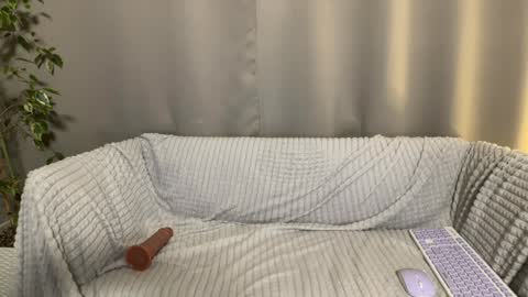 Amelia online show from January 2025 10:17:02 PM