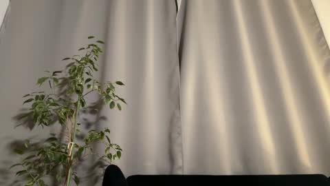 Amelia online show from February 2025 07:10:02 PM