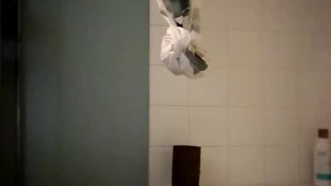 Snapshot of sigmaelixer chatting on October 2025 08:37:01 AM sigmaelixer online show from October 2025 08:37:01 AM