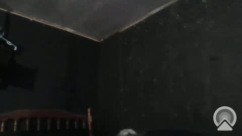 Snapshot of sikwitit625 chatting on December 2024 04:40:02 PM Cdub625 online show from December 2024 04:40:02 PM