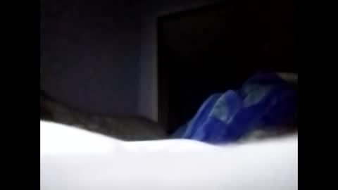 sil15nissan online show from March 2026 02:39:02 PM