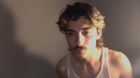 Snapshot of silly_cybin chatting on November 2025 04:18:01 AM cybin online show from November 2025 04:18:01 AM