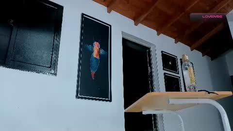 silvabranko online show from July 2026 03:23:01 AM
