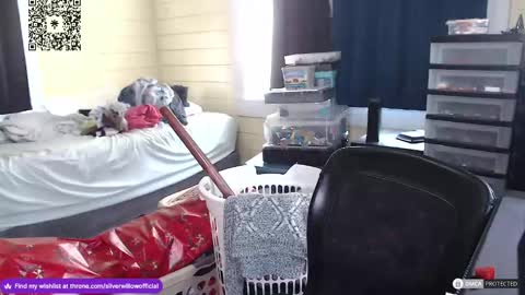 Snapshot of silver_willow chatting on December 2024 04:49:01 PM Willow online show from December 2024 04:49:01 PM