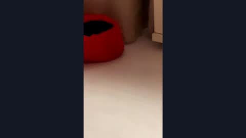 silvia998 online show from March 2026 09:07:01 PM