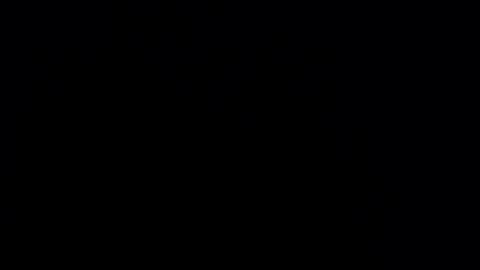 silvia_ls online show from February 2025 12:30:02 AM