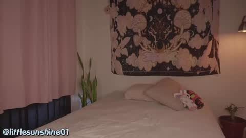 Snapshot of simon_bane01 chatting on December 2024 09:16:01 PM Little Sunshine online show from December 2024 09:16:01 PM