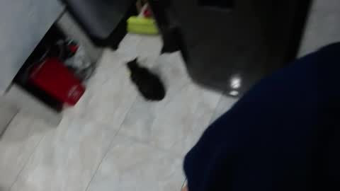 Snapshot of sin_sweet_sin chatting on October 2025 01:28:01 AM sin_sweet_sin online show from October 2025 01:28:01 AM