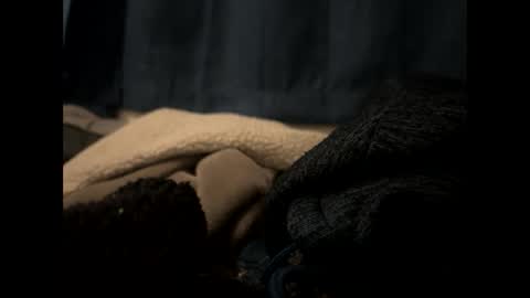 tigre online show from February 2025 01:40:01 AM