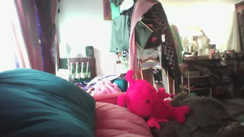 Snapshot of siofra chatting on February 2025 07:10:02 PM Siofra online show from February 2025 07:10:02 PM