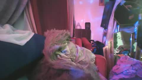 Snapshot of siofra chatting on February 2025 02:19:02 AM Siofra online show from February 2025 02:19:02 AM