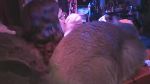 Snapshot of siofra chatting on March 2025 09:25:02 AM Siofra online show from March 2025 09:25:02 AM