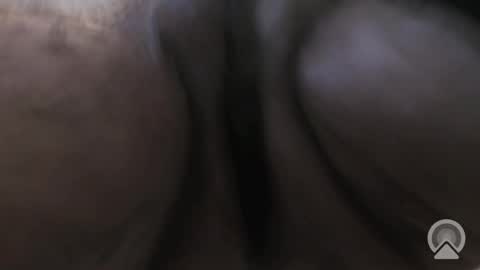 Sir Loin online show from December 2025 09:00:01 PM