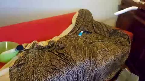 sissyanalslut521247 online show from January 2025 06:56:01 AM