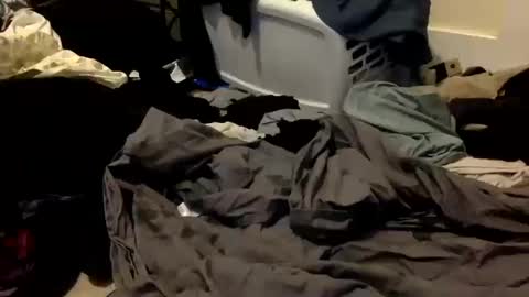 Snapshot of sissykora chatting on October 2025 06:36:02 AM Kora online show from October 2025 06:36:02 AM