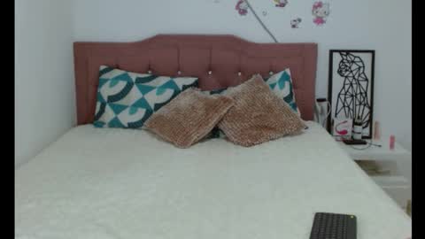 Snapshot of skinny_hailey1 chatting on January 2025 08:24:02 AM Hailey online show from January 2025 08:24:02 AM