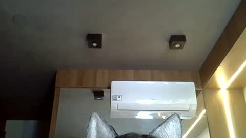 skinnykittencam online show from November 2025 01:33:02 PM