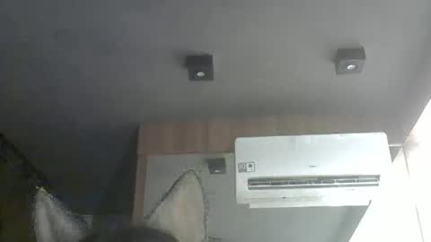 skinnykittencam online show from November 2025 07:21:01 PM
