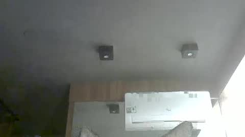 skinnykittencam online show from November 2025 12:43:01 AM